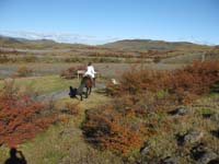 /international/Chile/2009TorresDelPaine/gallery/may1_ride/thumbnails/IMG_4209.jpg