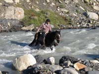 /international/Chile/2009TorresDelPaine/gallery/may1_ride/thumbnails/IMG_4221.jpg