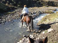 /international/Chile/2009TorresDelPaine/gallery/may1_ride/thumbnails/IMG_4231.jpg