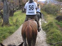 /international/Chile/2009TorresDelPaine/gallery/may2_ride/thumbnails/IMG_4435.jpg