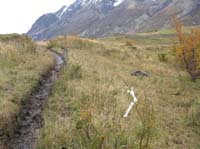 /international/Chile/2009TorresDelPaine/gallery/may2_ride/thumbnails/IMG_4498.jpg