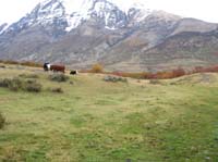/international/Chile/2009TorresDelPaine/gallery/may2_ride/thumbnails/IMG_4506.jpg