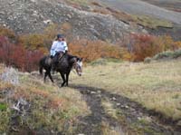 /international/Chile/2009TorresDelPaine/gallery/may2_ride/thumbnails/IMG_4521.jpg