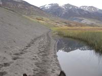 /international/Chile/2009TorresDelPaine/gallery/may2_ride/thumbnails/IMG_4535.jpg