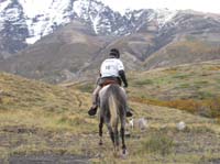 /international/Chile/2009TorresDelPaine/gallery/may2_ride/thumbnails/IMG_4544.jpg