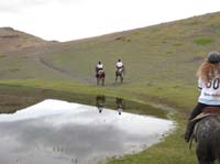 /international/Chile/2009TorresDelPaine/gallery/may2_ride/thumbnails/IMG_4549.jpg