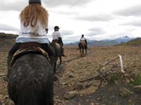/international/Chile/2009TorresDelPaine/gallery/may2_ride/thumbnails/IMG_4553.jpg