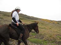 /international/Chile/2009TorresDelPaine/gallery/may2_ride/thumbnails/IMG_4567.jpg