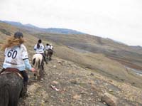 /international/Chile/2009TorresDelPaine/gallery/may2_ride/thumbnails/IMG_4572.jpg
