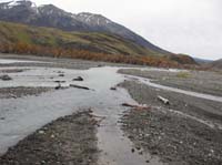 /international/Chile/2009TorresDelPaine/gallery/may2_ride/thumbnails/IMG_4609.jpg