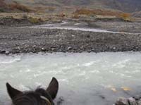 /international/Chile/2009TorresDelPaine/gallery/may2_ride/thumbnails/IMG_4617.jpg