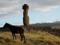 /international/Chile/2010EasterIsland/gallery/Nov14/thumbnails/PB140078.jpg