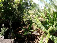 /international/Chile/2010EasterIsland/gallery/Nov15/thumbnails/PB150127.jpg