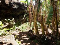 /international/Chile/2010EasterIsland/gallery/Nov15/thumbnails/PB150130.jpg