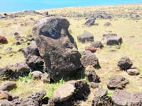 /international/Chile/2010EasterIsland/gallery/Nov15/thumbnails/PB150139.jpg