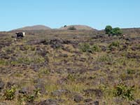 /international/Chile/2010EasterIsland/gallery/Nov15/thumbnails/PB150152.jpg