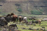 /international/Chile/2010EasterIsland/gallery/Nov16/thumbnails/IMG_8004.jpg