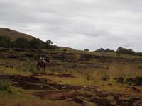 /international/Chile/2010EasterIsland/gallery/Nov18/thumbnails/PB180225.jpg