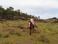 /international/Chile/2010EasterIsland/gallery/Nov18/thumbnails/PB180227.jpg