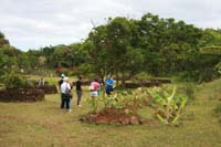 /international/Chile/2010EasterIsland/gallery/Nov20/thumbnails/IMG_8324.jpg