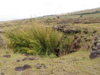/international/Chile/2010EasterIsland/gallery/Nov20/thumbnails/PB200029.jpg