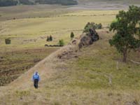 /international/Chile/2010EasterIsland/gallery/Nov20/thumbnails/PB200034.jpg