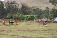 /international/Chile/2010EasterIsland/gallery/Nov20_2/thumbnails/IMG_8350.jpg