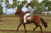 /international/Chile/2010EasterIsland/gallery/Nov20_2/thumbnails/IMG_8380.jpg