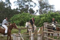 /international/Chile/2010EasterIsland/gallery/Nov20_2/thumbnails/IMG_8465.jpg