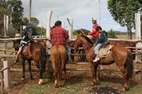 /international/Chile/2010EasterIsland/gallery/Nov20_2/thumbnails/IMG_8481.jpg