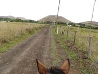 /international/Chile/2010EasterIsland/gallery/Nov21/thumbnails/PB210073.jpg