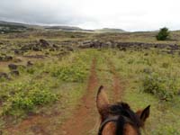 /international/Chile/2010EasterIsland/gallery/Nov21/thumbnails/PB210171.jpg