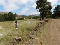 /international/Chile/2010EasterIsland/gallery/Nov21/thumbnails/PB210181.jpg