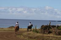 /international/Chile/2010EasterIsland/gallery/Nov21_2/thumbnails/IMG_8519.jpg