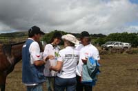 /international/Chile/2010EasterIsland/gallery/Nov21_2/thumbnails/IMG_8523.jpg