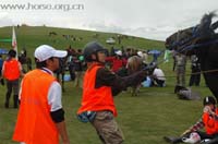 /international/China/2010BayinbuluSwanLake/gallery/official/thumbnails/20107141458592920.jpg
