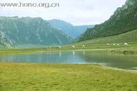/international/China/2010BayinbuluSwanLake/gallery/official/thumbnails/201071613463664580.jpg
