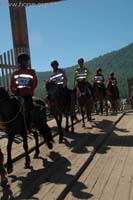 /international/China/2010Kanas/gallery/official/thumbnails/201062913165781198.jpg