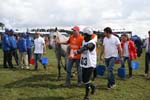 /international/GreatBritain/2012WEC/gallery/M17Sat/thumbnails/1208WEC_1226.jpg