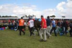 /international/GreatBritain/2012WEC/gallery/M17Sat/thumbnails/1208WEC_1246.jpg