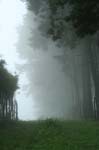 /international/Guatemala/2007LagunaElPino/Gallery/theCountry/thumbnails/Sonsoles9.jpg