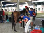 /international/Malaysia/2007SultansCup/Gallery/finish_images/thumbnails/IMG_8190.jpg