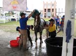 /international/Malaysia/2007SultansCup/Gallery/finish_images/thumbnails/IMG_8196.jpg