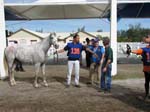 /international/Malaysia/2007SultansCup/Gallery/finish_images/thumbnails/IMG_8267.jpg