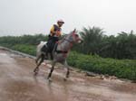 /international/Malaysia/2007SultansCup/Gallery/ride_images/thumbnails/IMG_8026.jpg