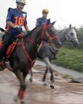 /international/Malaysia/2007SultansCup/Gallery/ride_images/thumbnails/IMG_nnn1.jpg