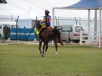 /international/Malaysia/2007SultansCup/Gallery/start_images/thumbnails/IMG_7354.jpg