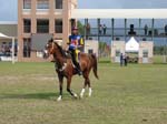 /international/Malaysia/2007SultansCup/Gallery/start_images/thumbnails/IMG_7362.jpg