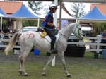 /international/Malaysia/2007SultansCup/Gallery/start_images/thumbnails/IMG_7414.jpg