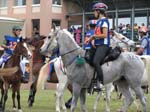 /international/Malaysia/2007SultansCup/Gallery/start_images/thumbnails/IMG_7469.jpg